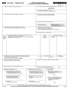 MAV Transport Canadian Customs Invoice